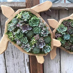Houten plantenbak