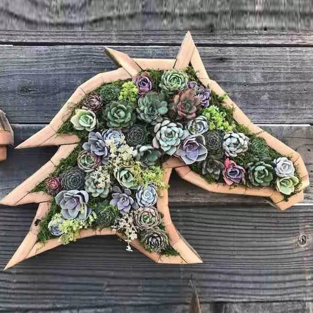 Houten plantenbak