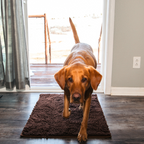 Honden schoonloopmat