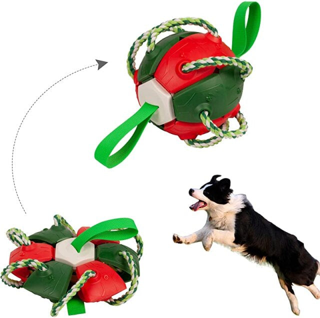 Kauwbal voor honden