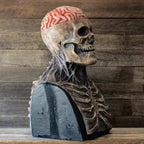 Ultra-Realistisch halloween skelet kostuum