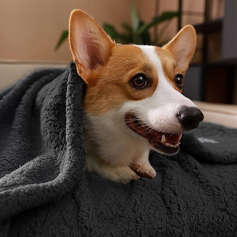 Zachte puppydeken