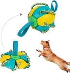 Kauwbal voor honden