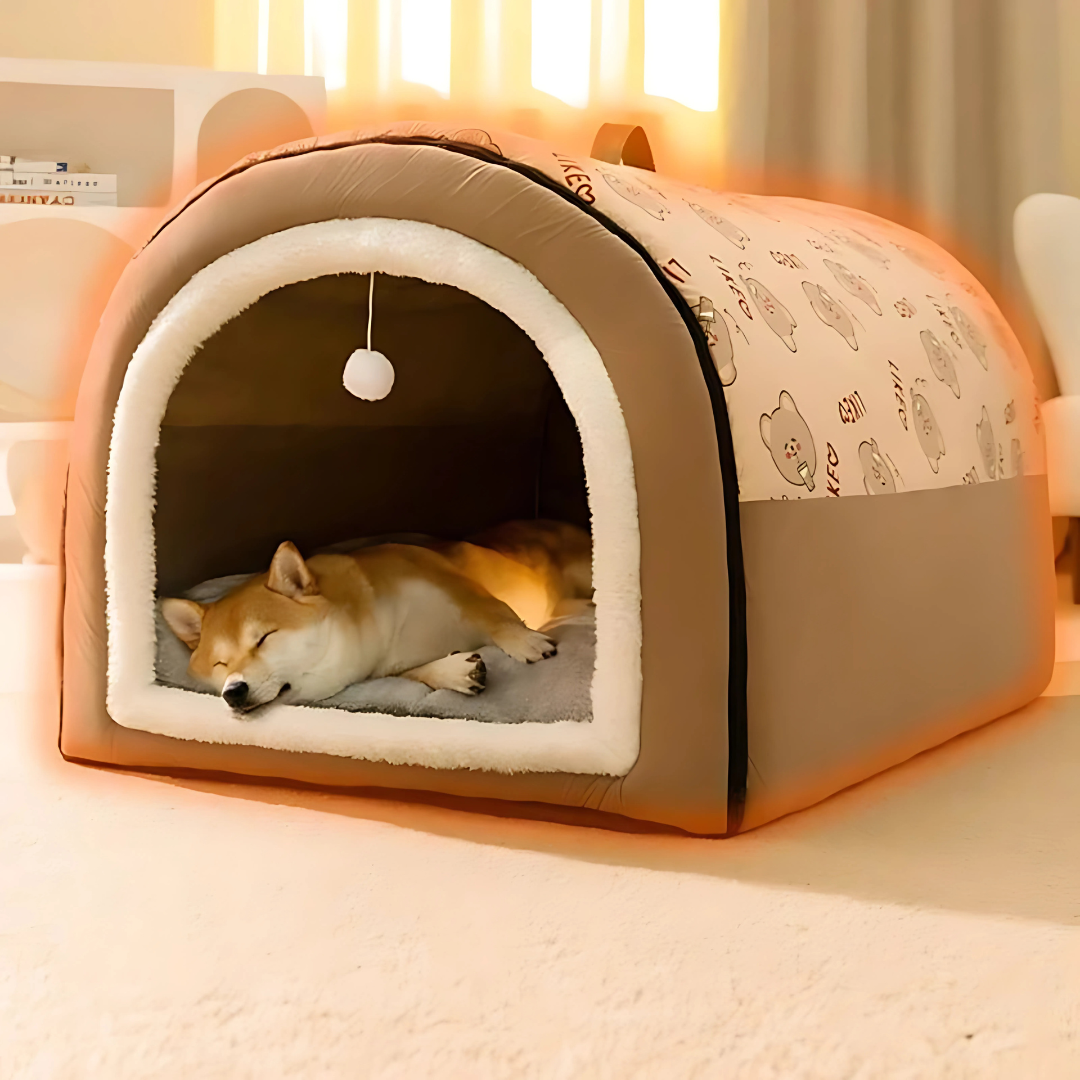 Knus huisje voor honden & katten