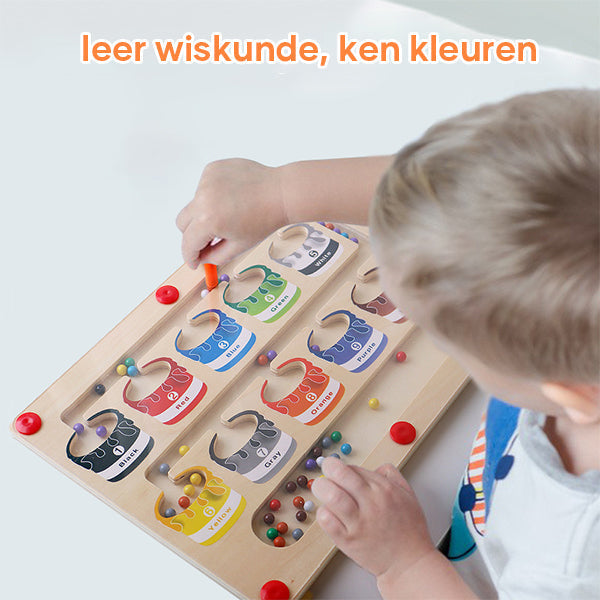 Magnetisch leerdoolhof voor kleur en getalherkenning