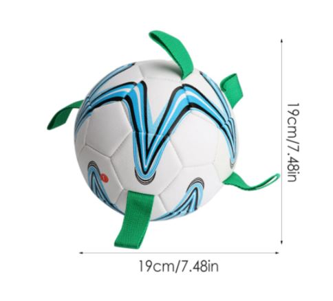 Voetbal voor honden