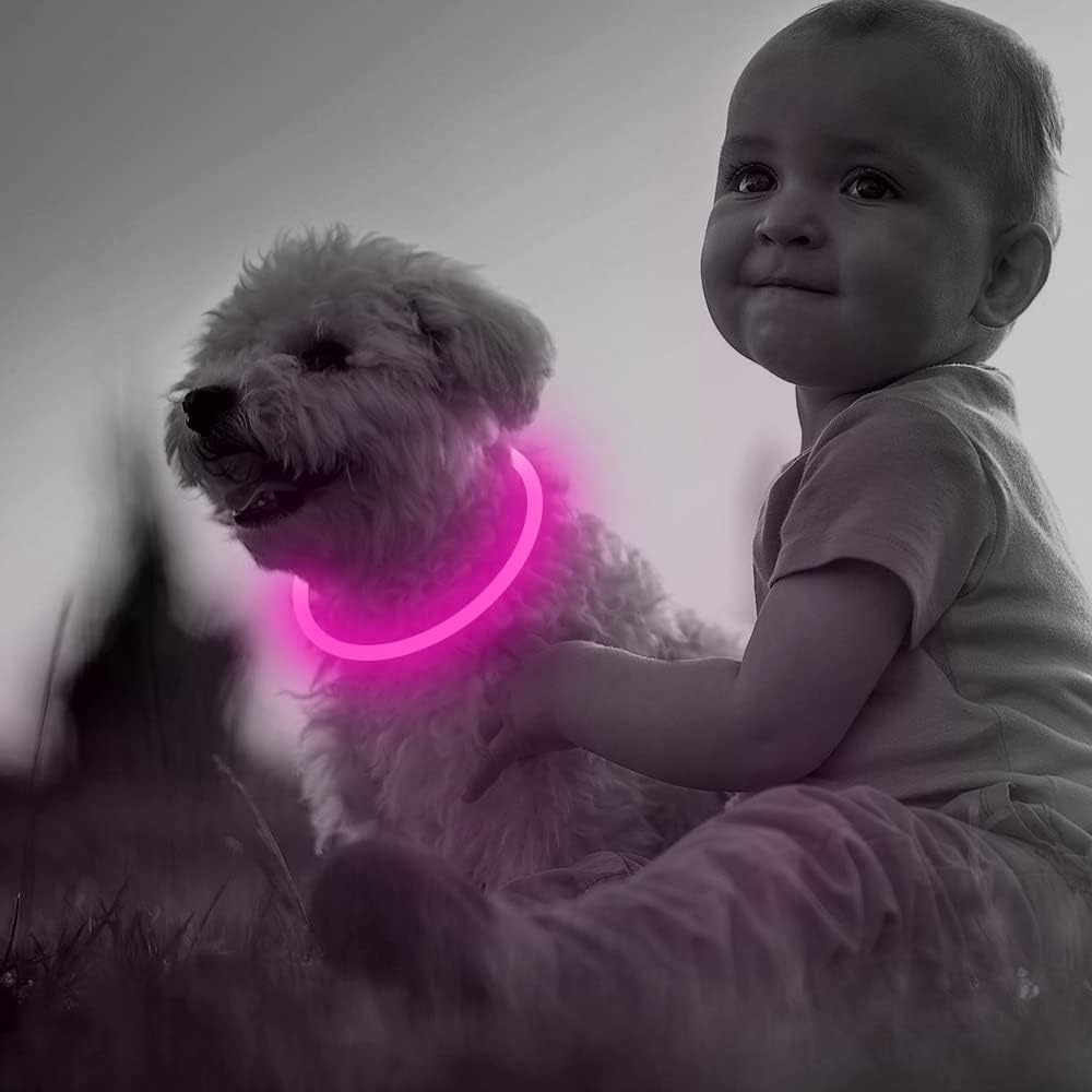 GlowSafe LED hondenhalsband
