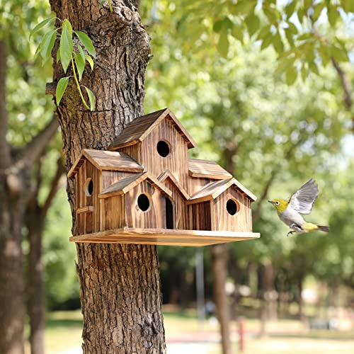 6 gats handgemaakt vogelhuisje