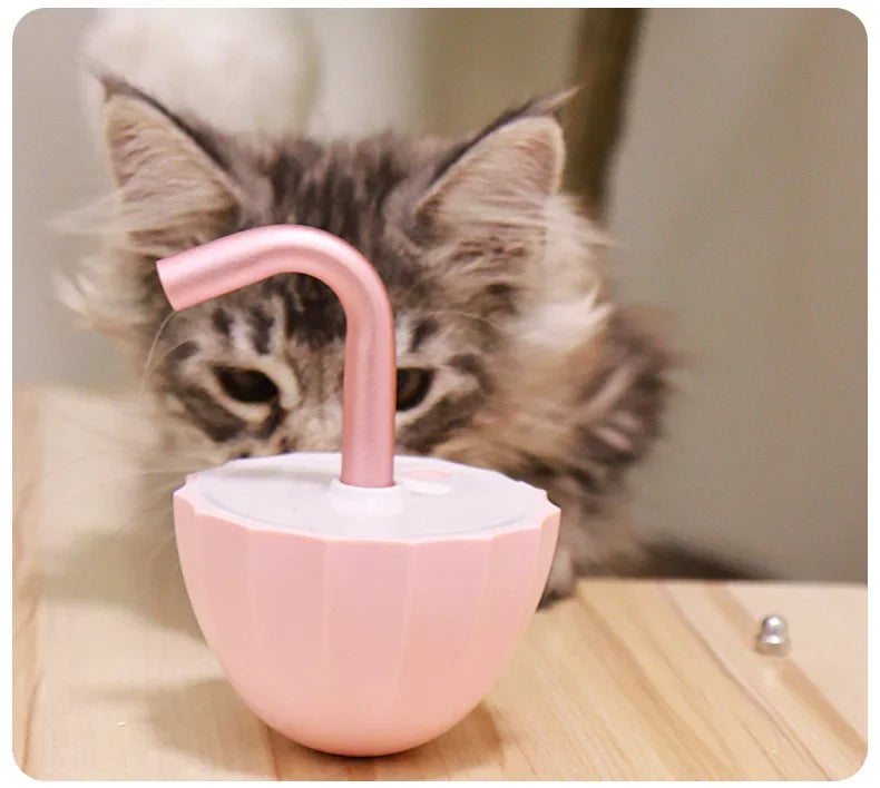 Kattenspeeltje met laser — afbeelding 3