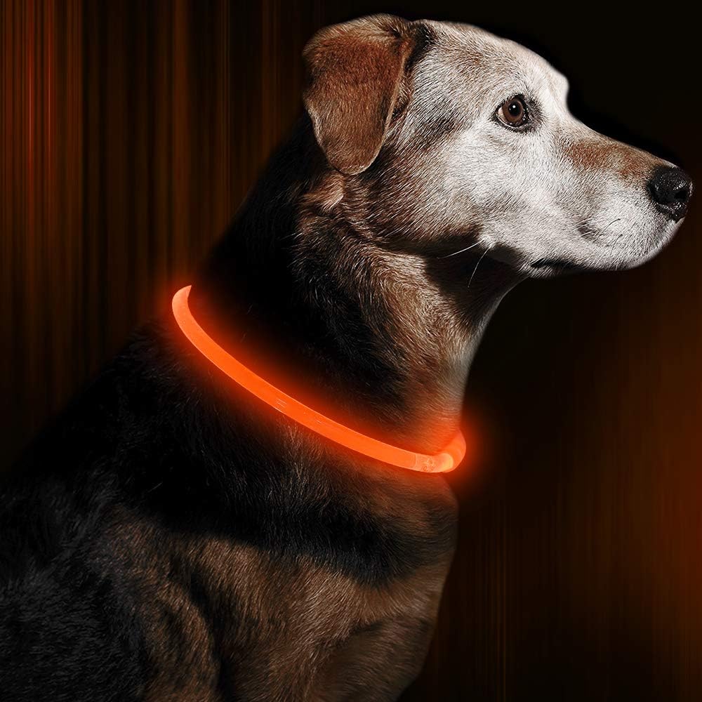 GlowSafe LED hondenhalsband