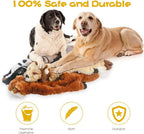 Squeak hondenspeelgoed - set van 5