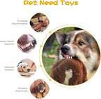 Squeak hondenspeelgoed - set van 5