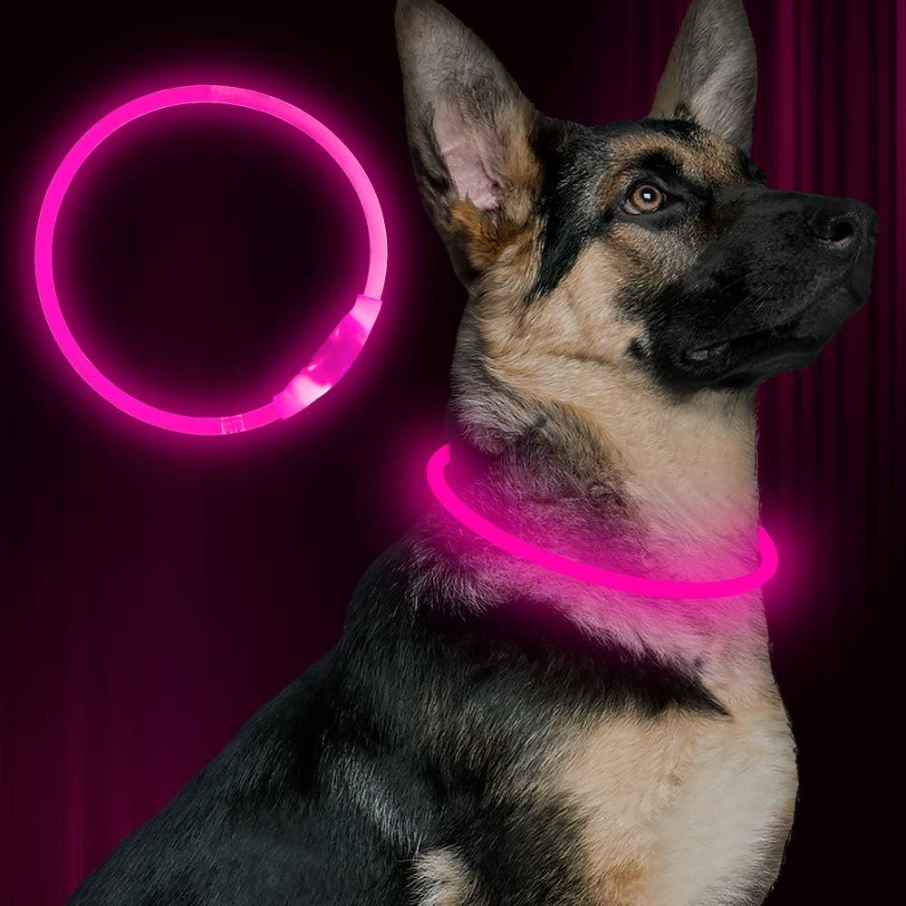 GlowSafe LED hondenhalsband