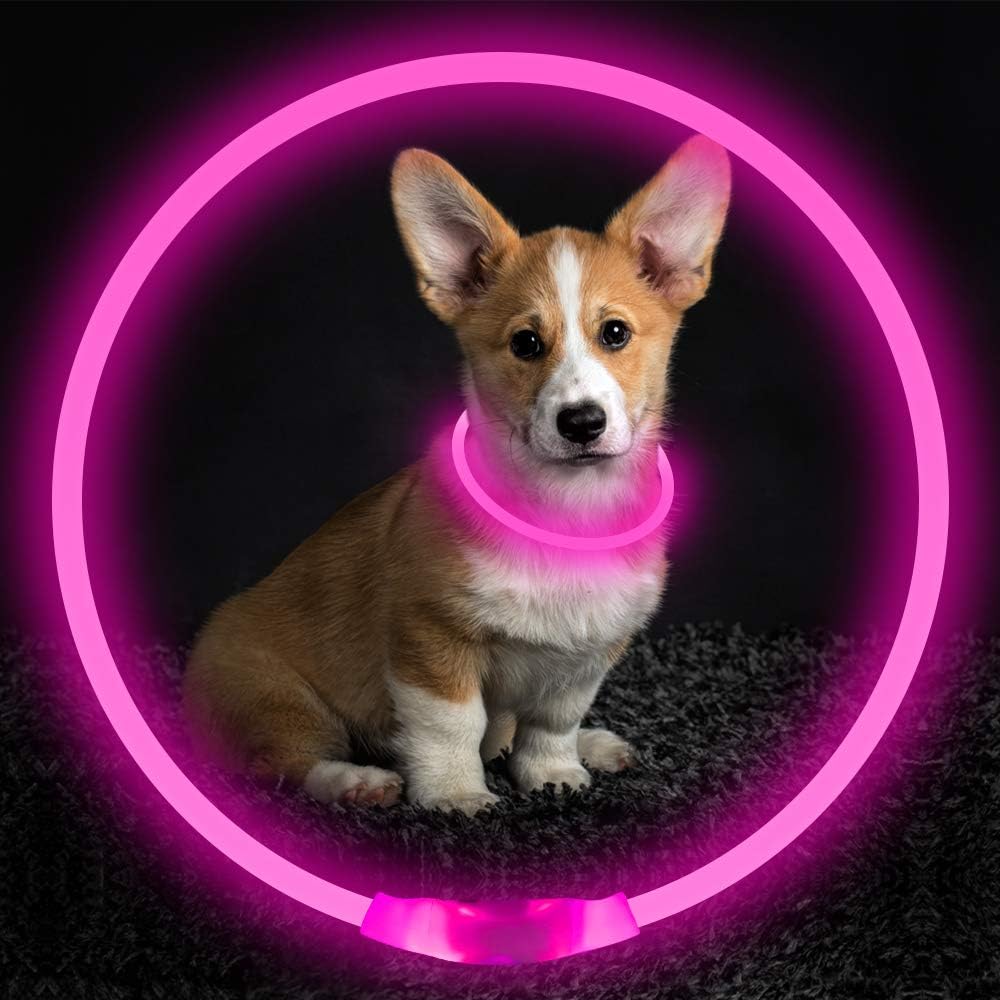 GlowSafe LED hondenhalsband