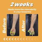 Set van 6 handtrainers
