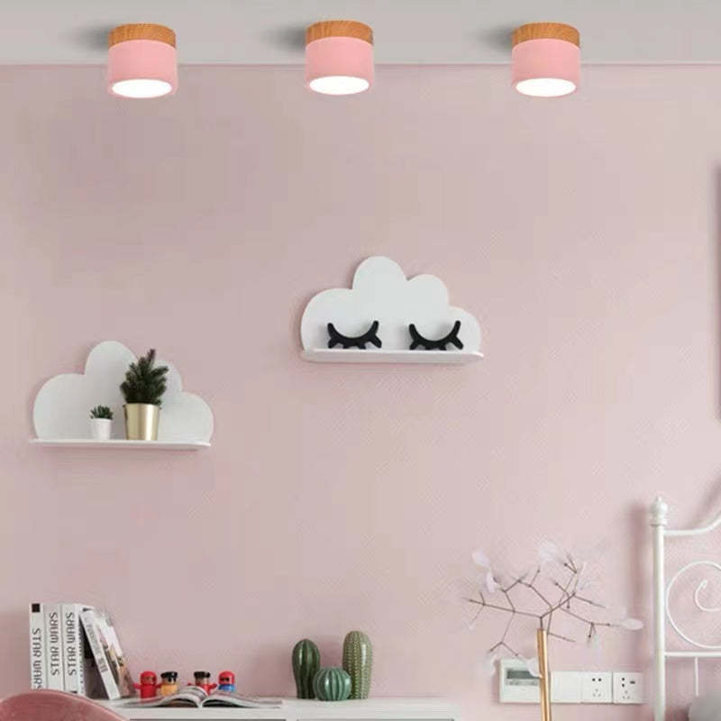 Morandi stijl moderne LED plafondlamp