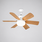 2-in-1 plafondlamp met stille ventilator