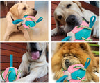Kauwbal voor honden