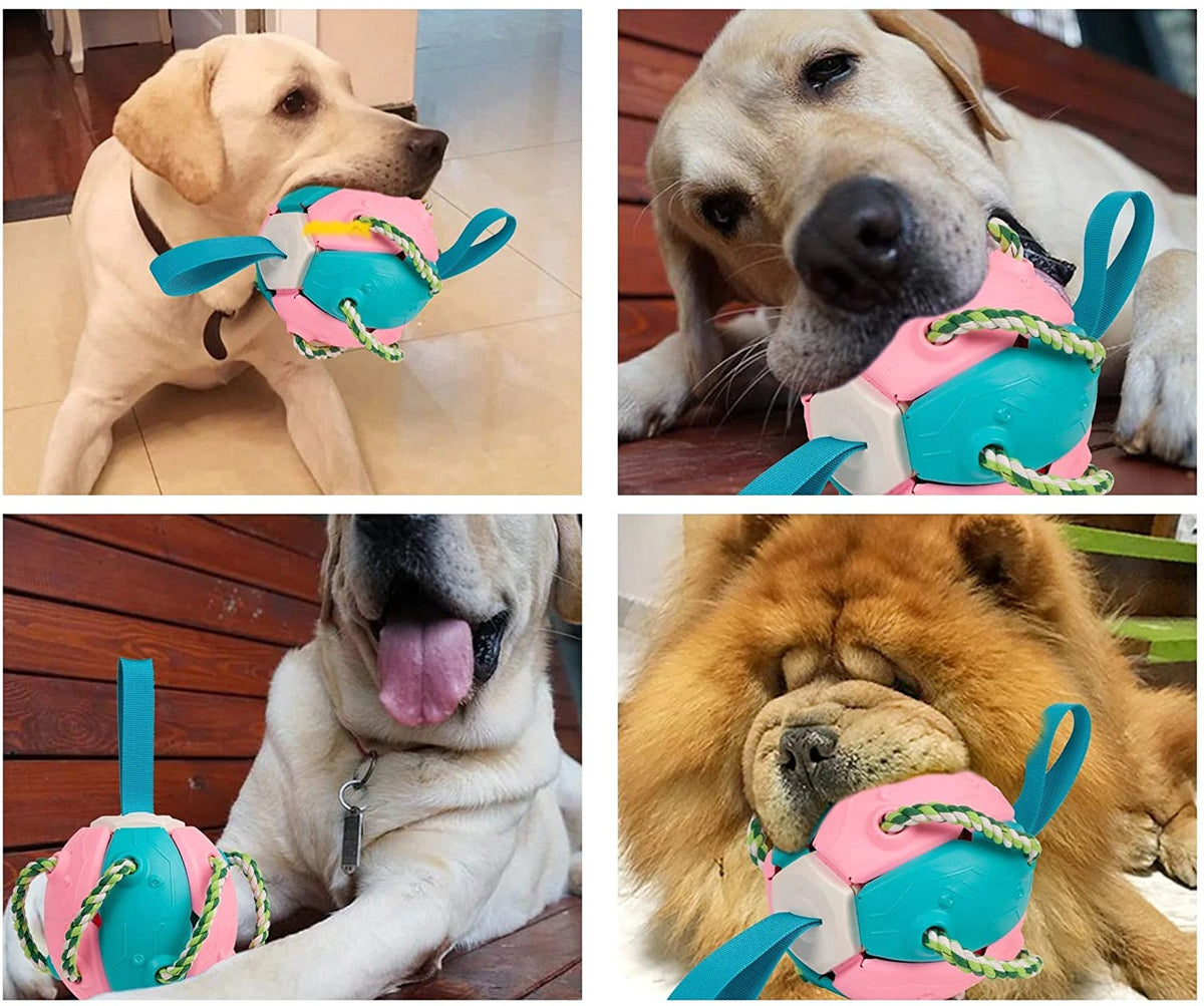 Kauwbal voor honden