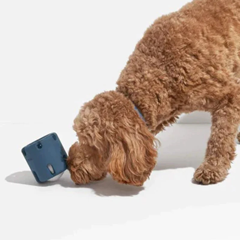 Gebit verzorgend speelgoed voor honden