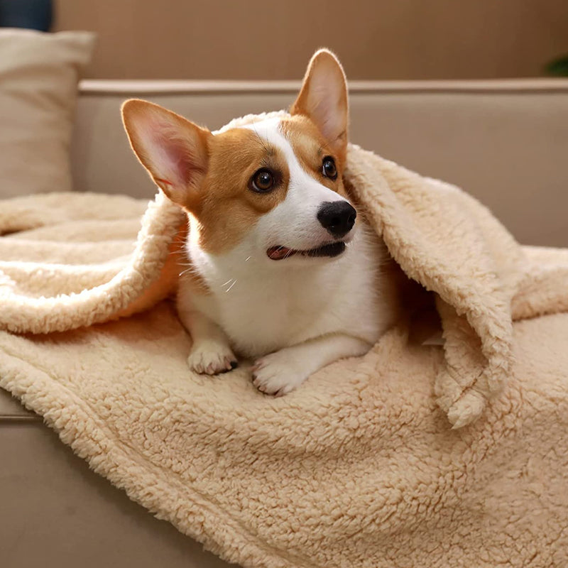 Zachte puppydeken