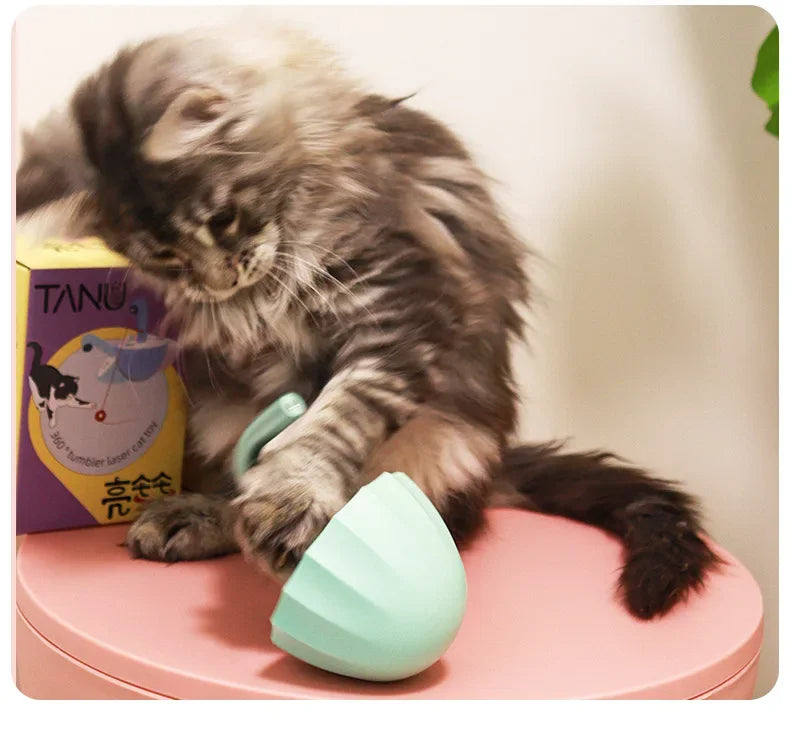 Kattenspeeltje met laser