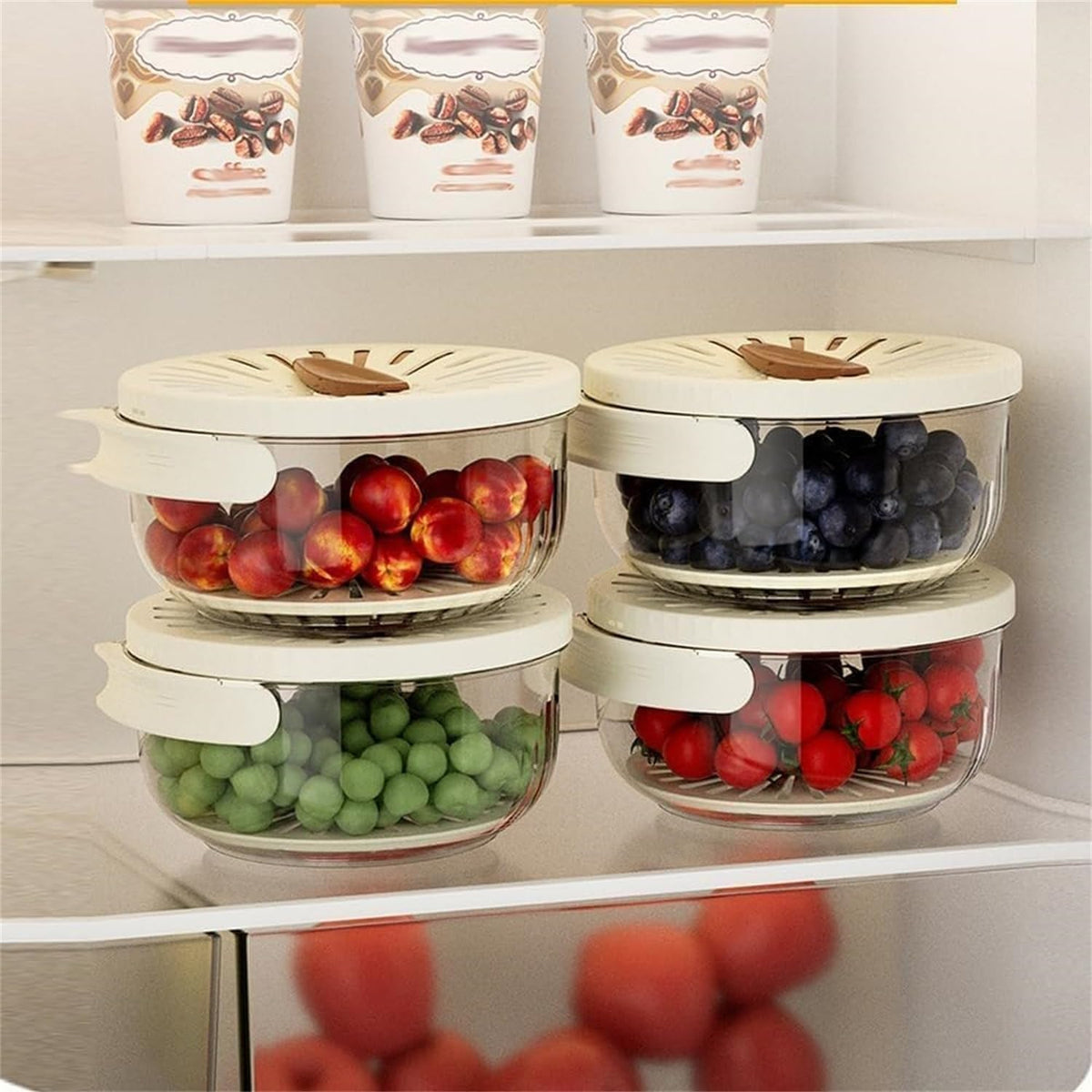 Fruit- en groente vershoud container