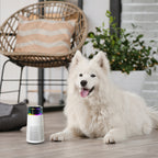 Dieren geur humidifier