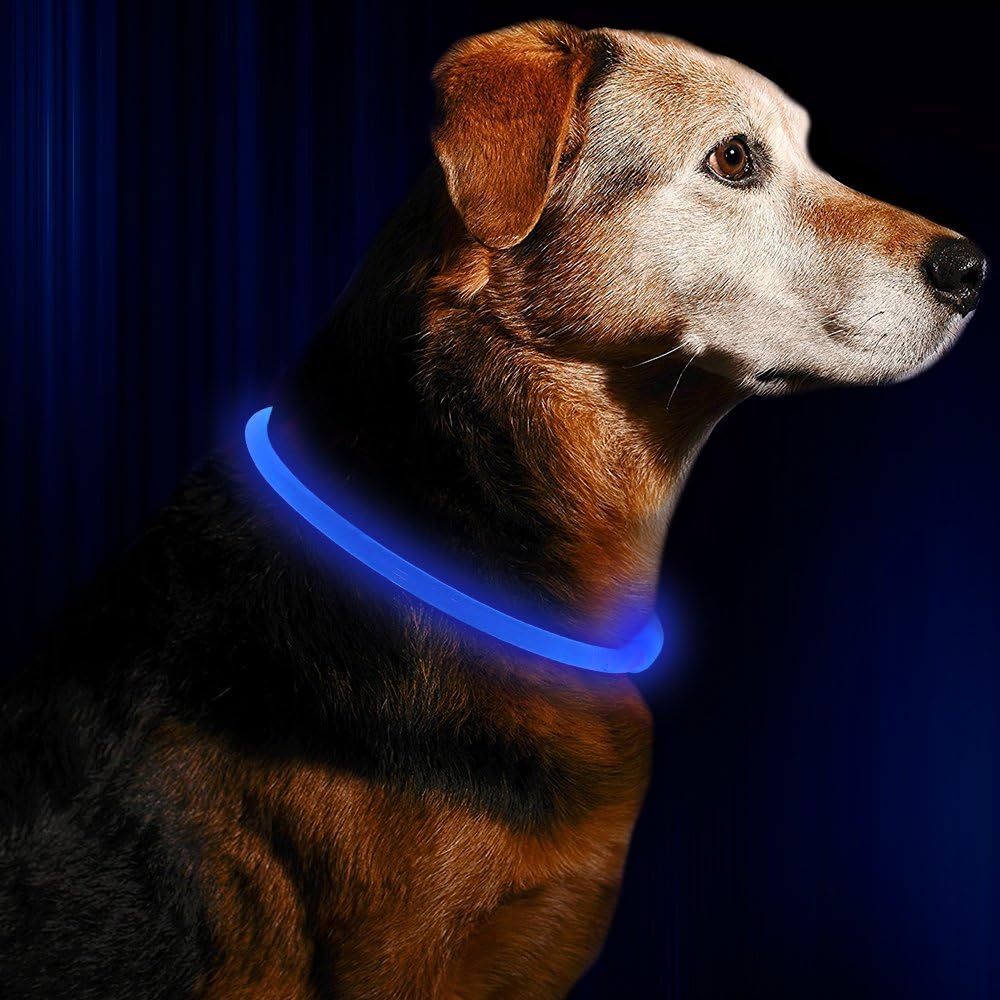 GlowSafe LED hondenhalsband