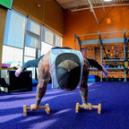 Houten parallettes voor push-ups en calisthenics