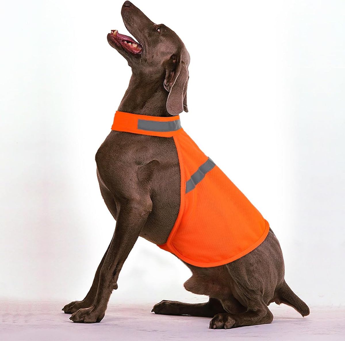 Reflecterend veiligheidsvest voor honden