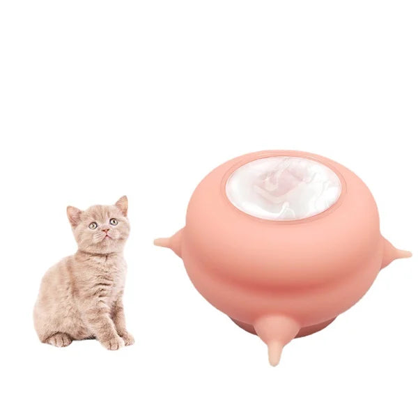Compacte melkkom voor kittens