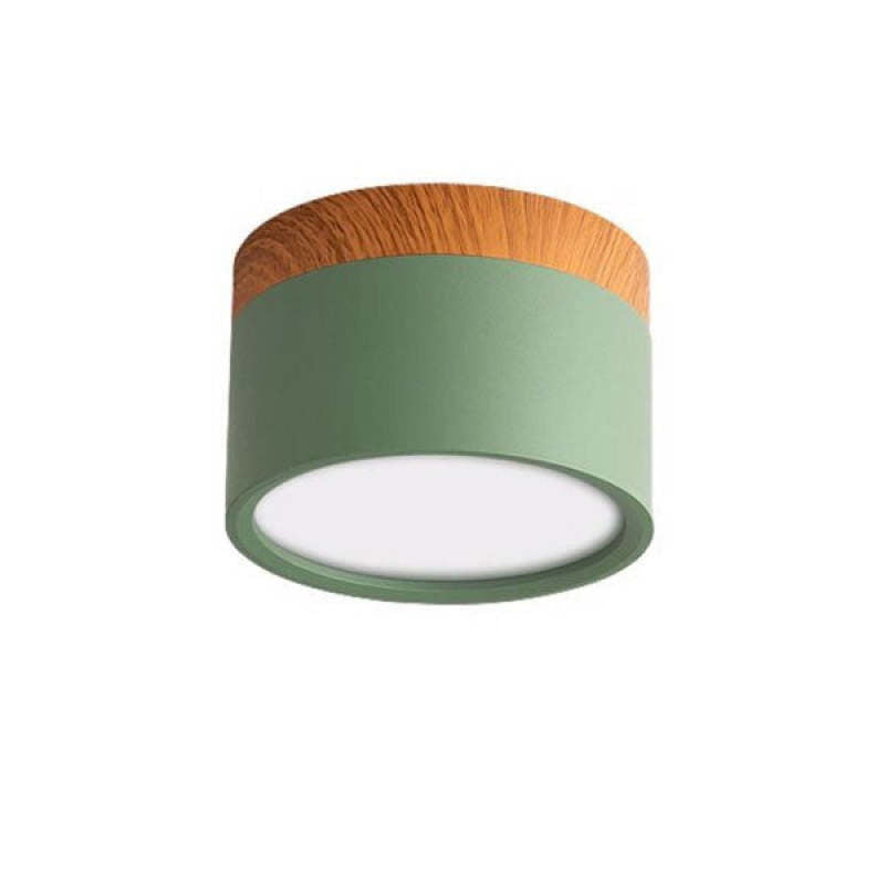 Morandi stijl moderne LED plafondlamp