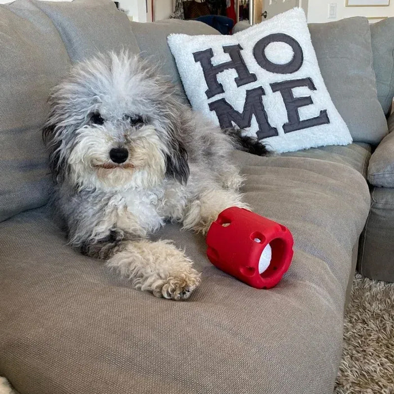 Gebit verzorgend speelgoed voor honden