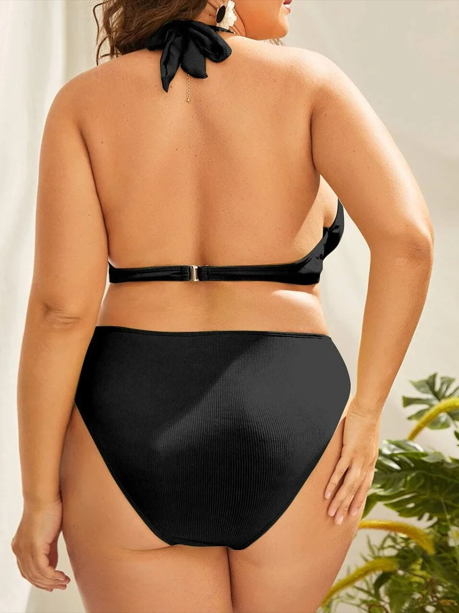Crystal plus-size bikini