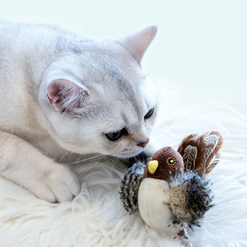 Interactief kattenspeeltje — afbeelding 11
