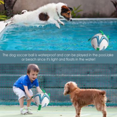 Voetbal voor honden