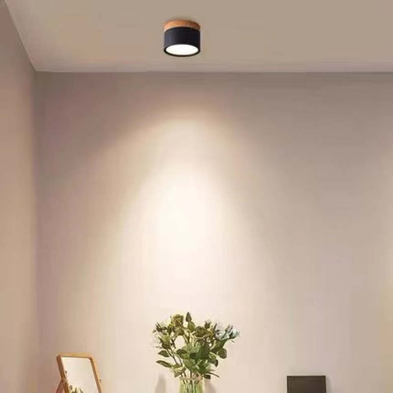 Morandi stijl moderne LED plafondlamp