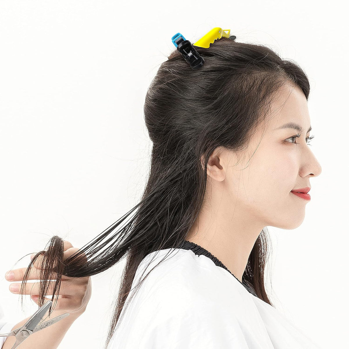Haarstylingclips, set van 10