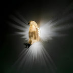 Verlichte vleugels wandlamp