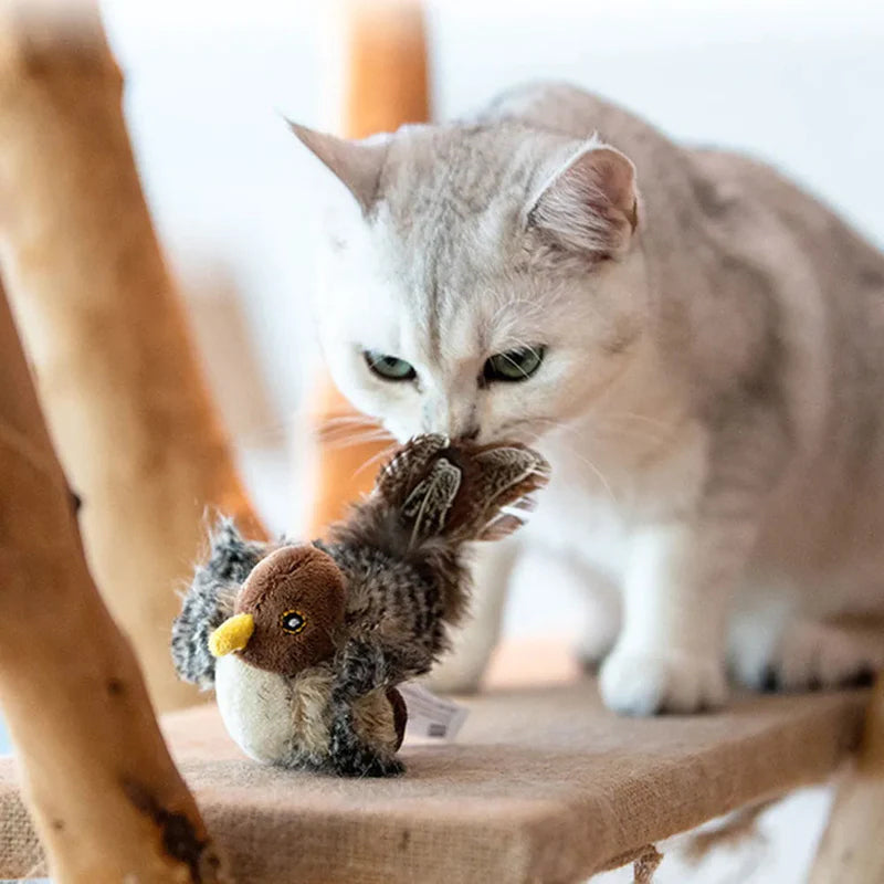 Interactief kattenspeeltje