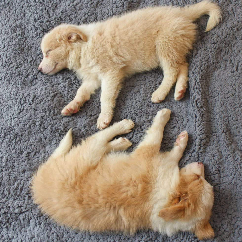 Zachte puppydeken