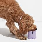 Gebit verzorgend speelgoed voor honden
