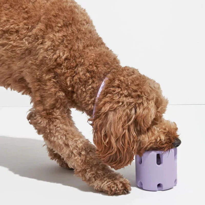 Gebit verzorgend speelgoed voor honden