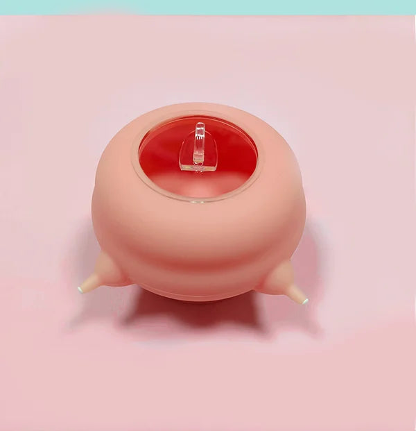 Compacte melkkom voor kittens