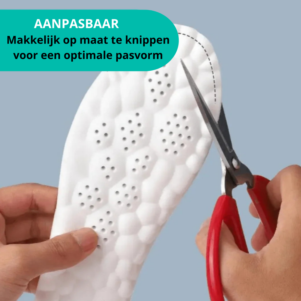 4D inlegzolen