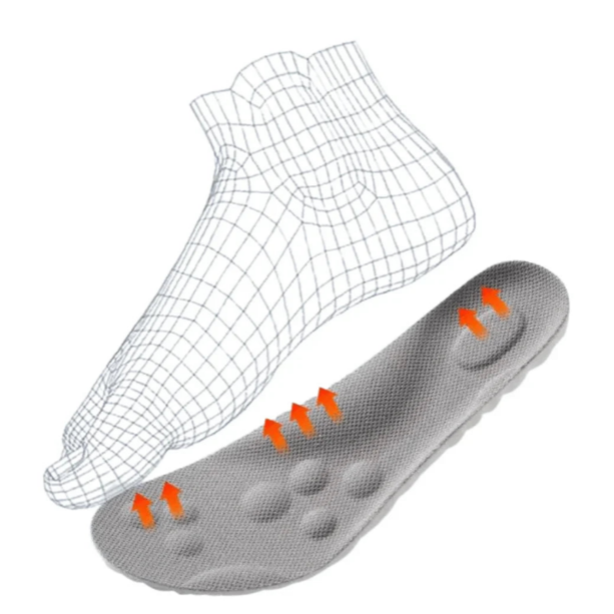 4D inlegzolen