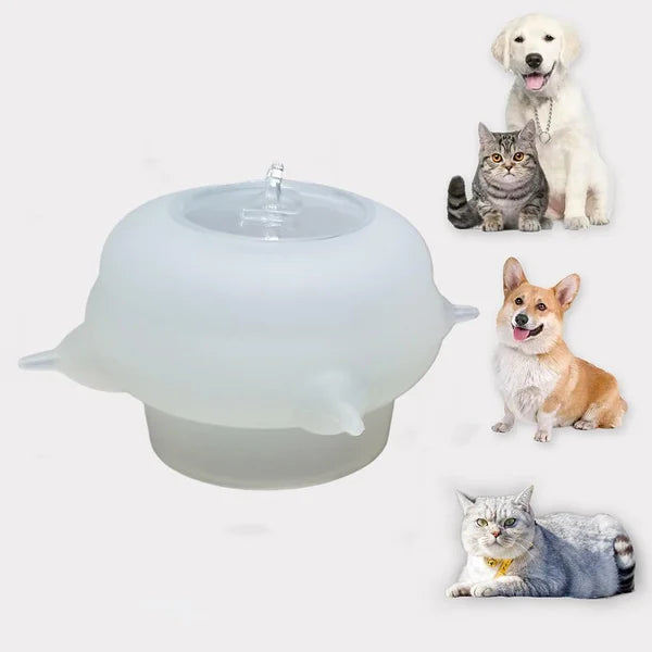 Compacte melkkom voor kittens