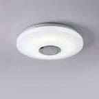 App-gestuurde plafondlamp