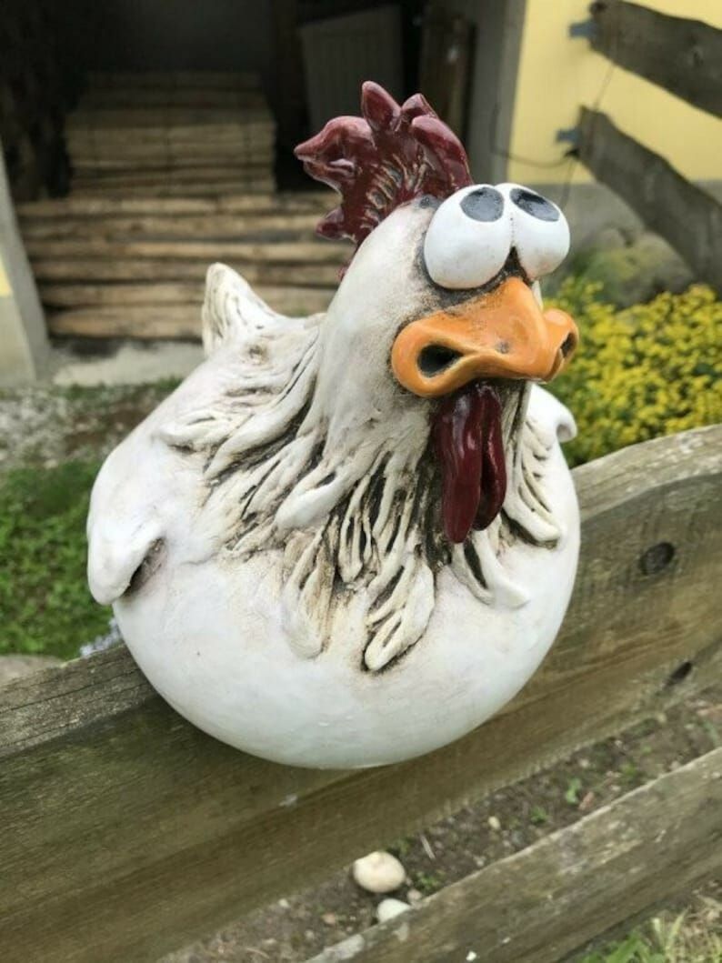 Big eye chicken – tuindecoratie